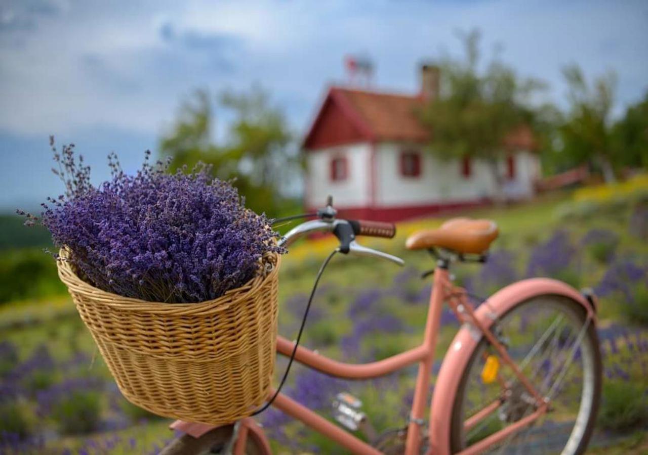 Lavanda Carasova Crasova Εξωτερικό φωτογραφία
