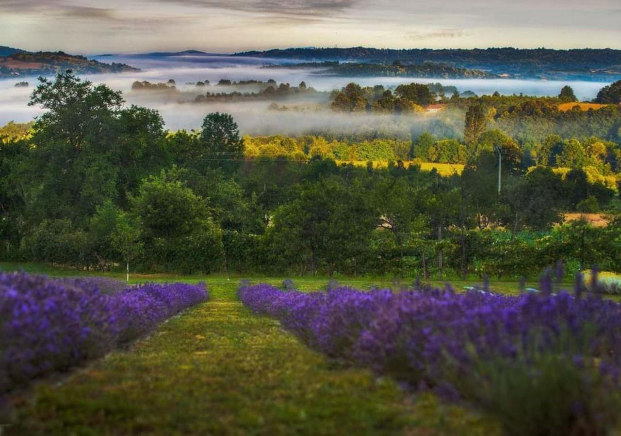 Lavanda Carasova Crasova Εξωτερικό φωτογραφία
